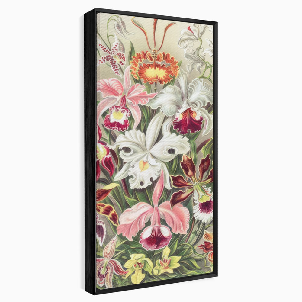 Tablou canvas cu ilustratie botanica cu orhidee multicolore, in rama de aluminiu negru